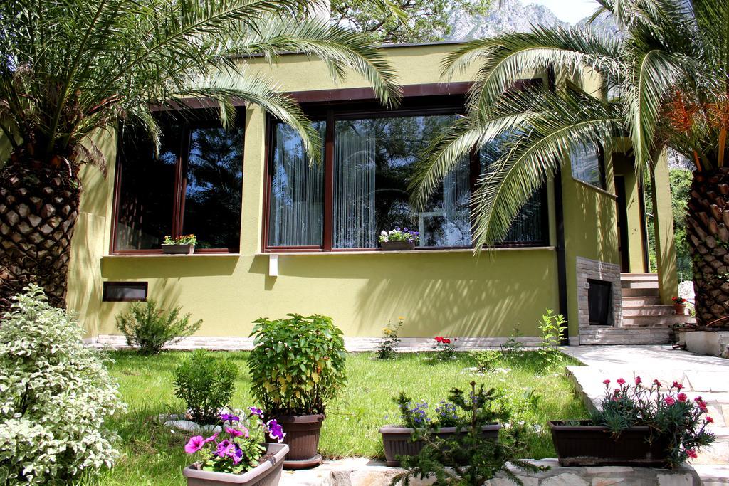 Silence Villa Kotor Bagian luar foto